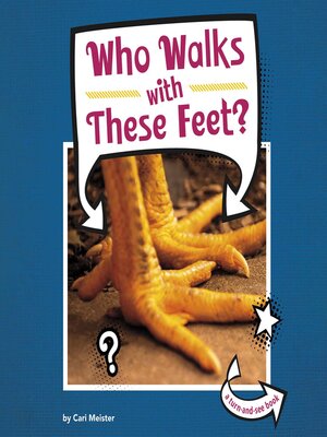 cover image of Who Walks With These Feet?